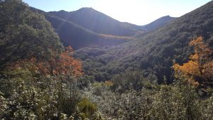 Asoma el otoño