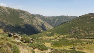 Entre montes