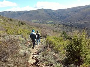 Senderistas en camino